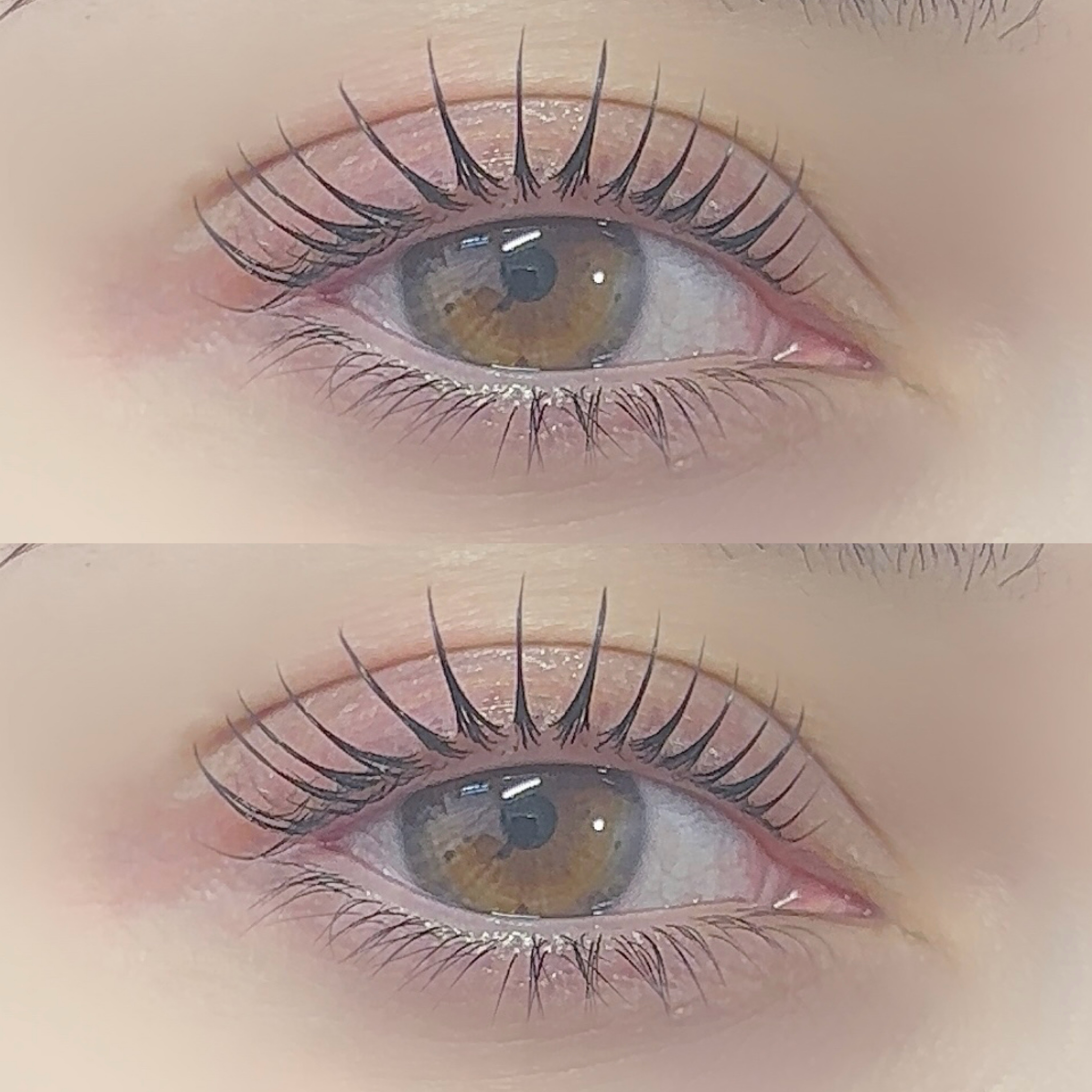toiro.eye