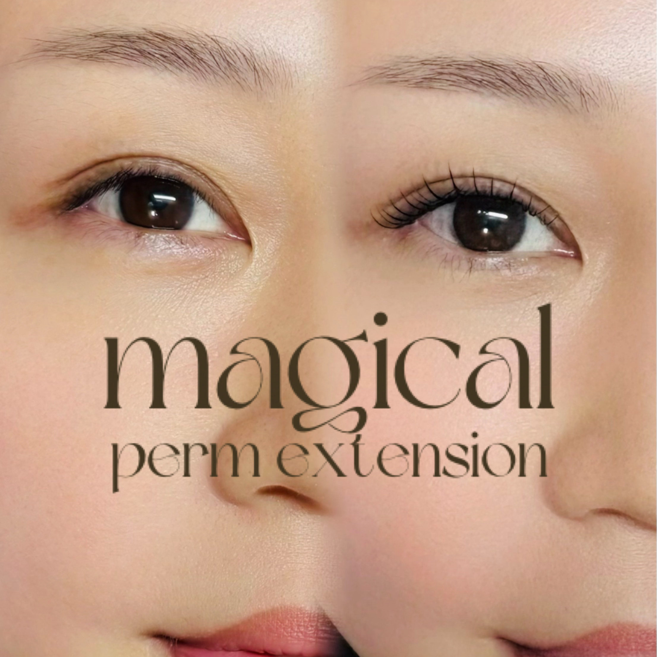tomomi.fudo