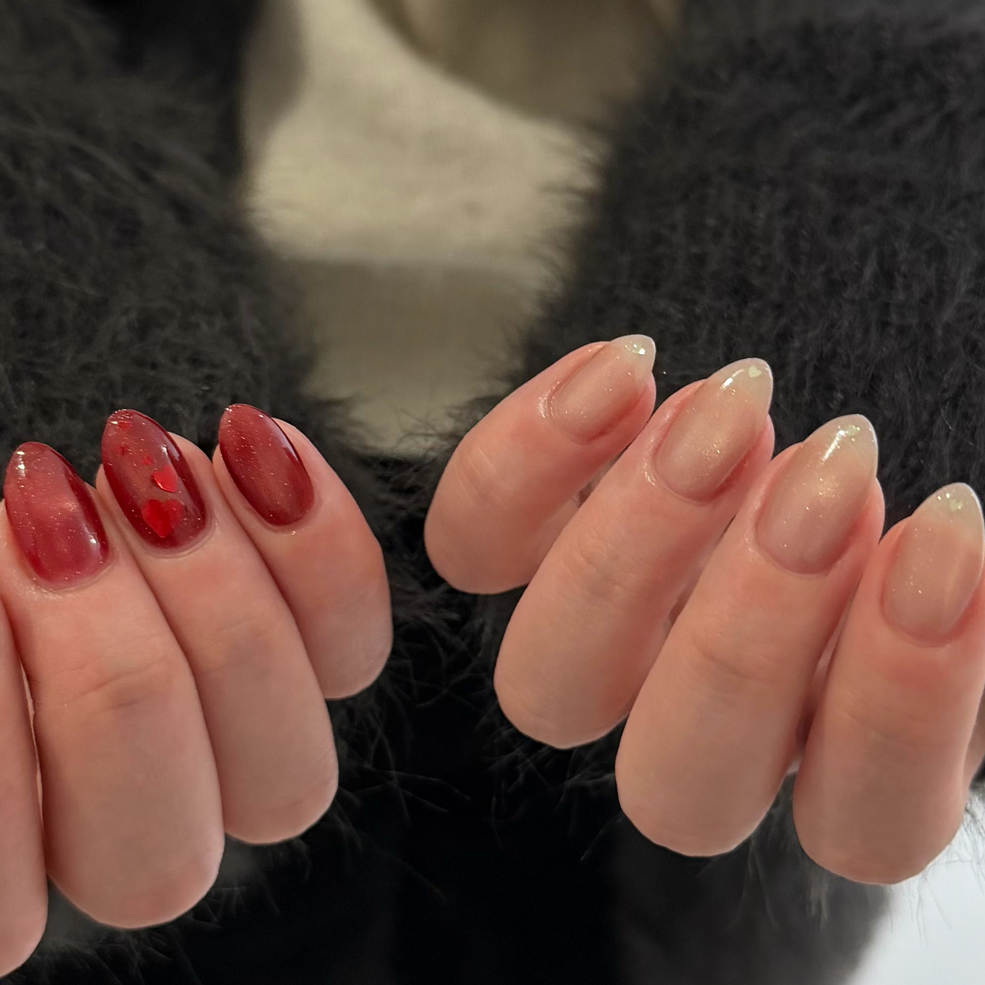 celavy_ayano