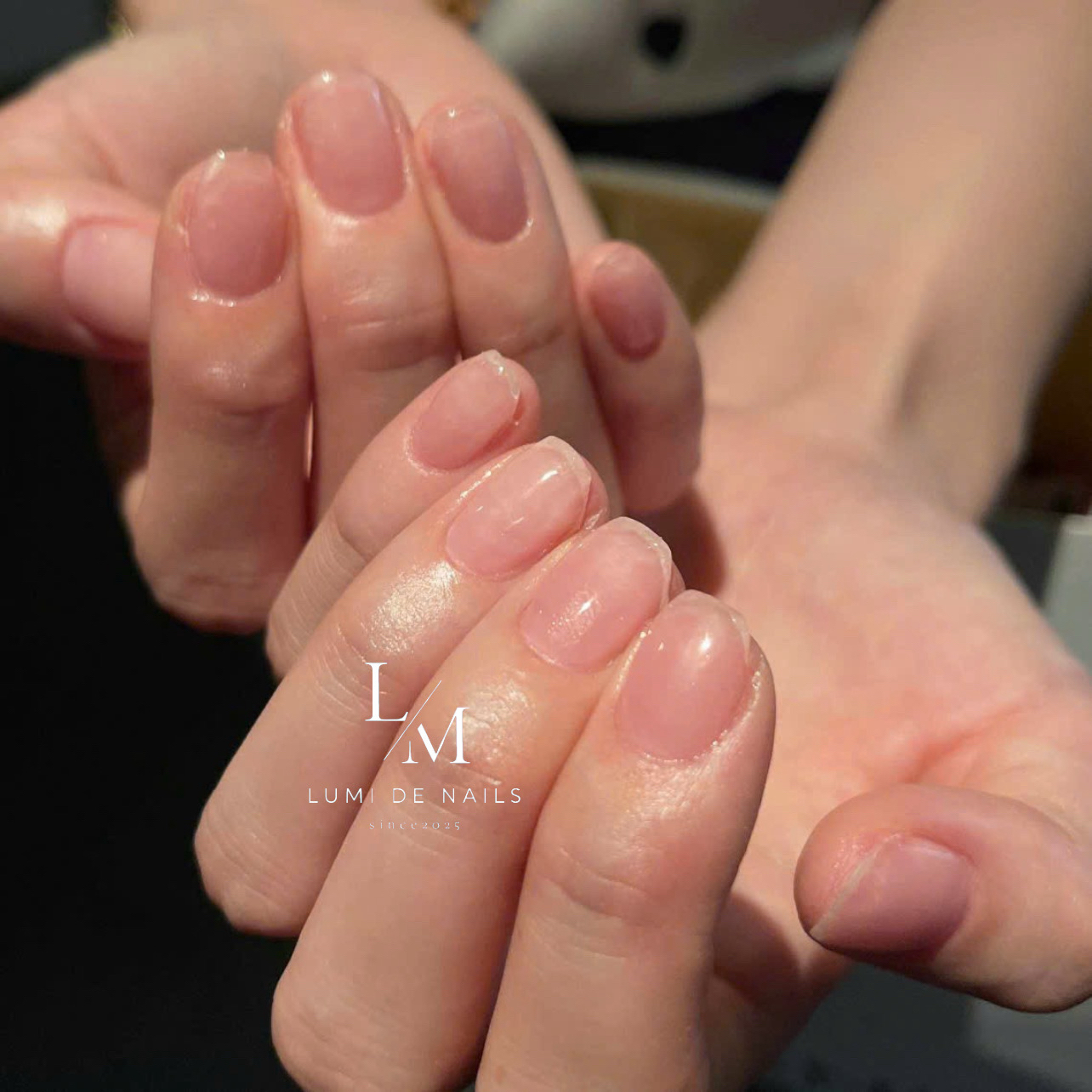 an_lumidenails