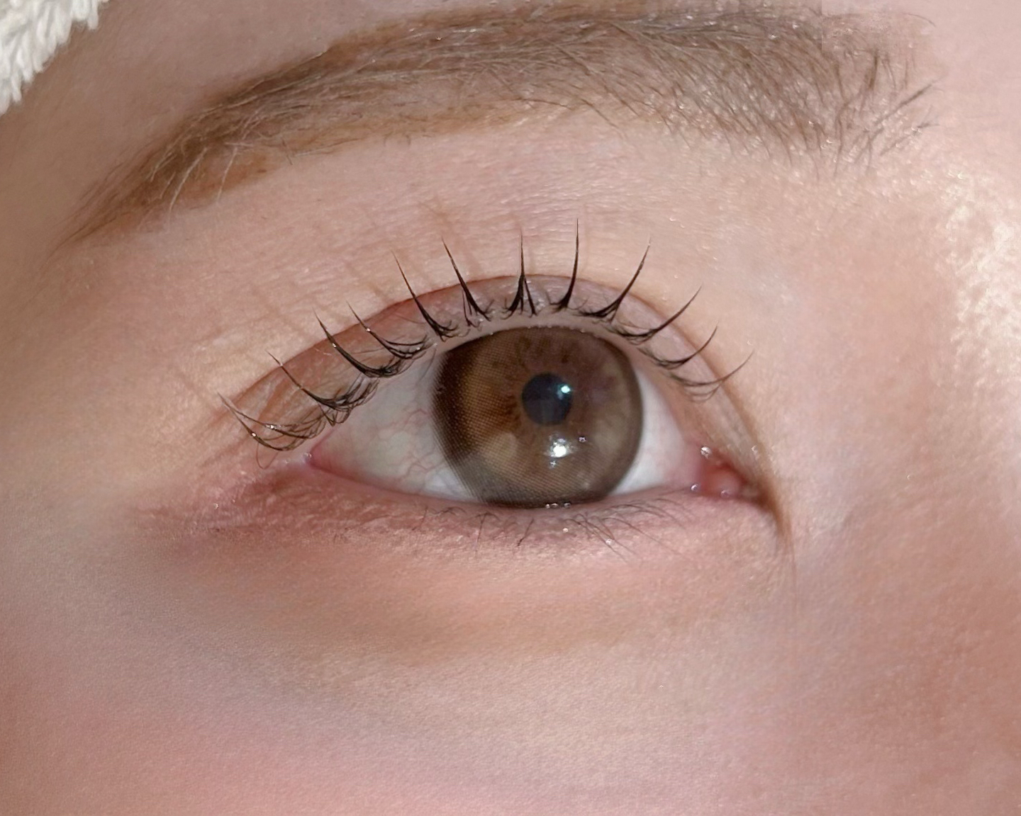 eye_uta