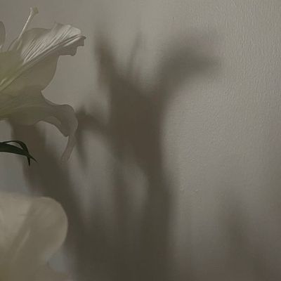 【ご新規様限定】持ち込み10本