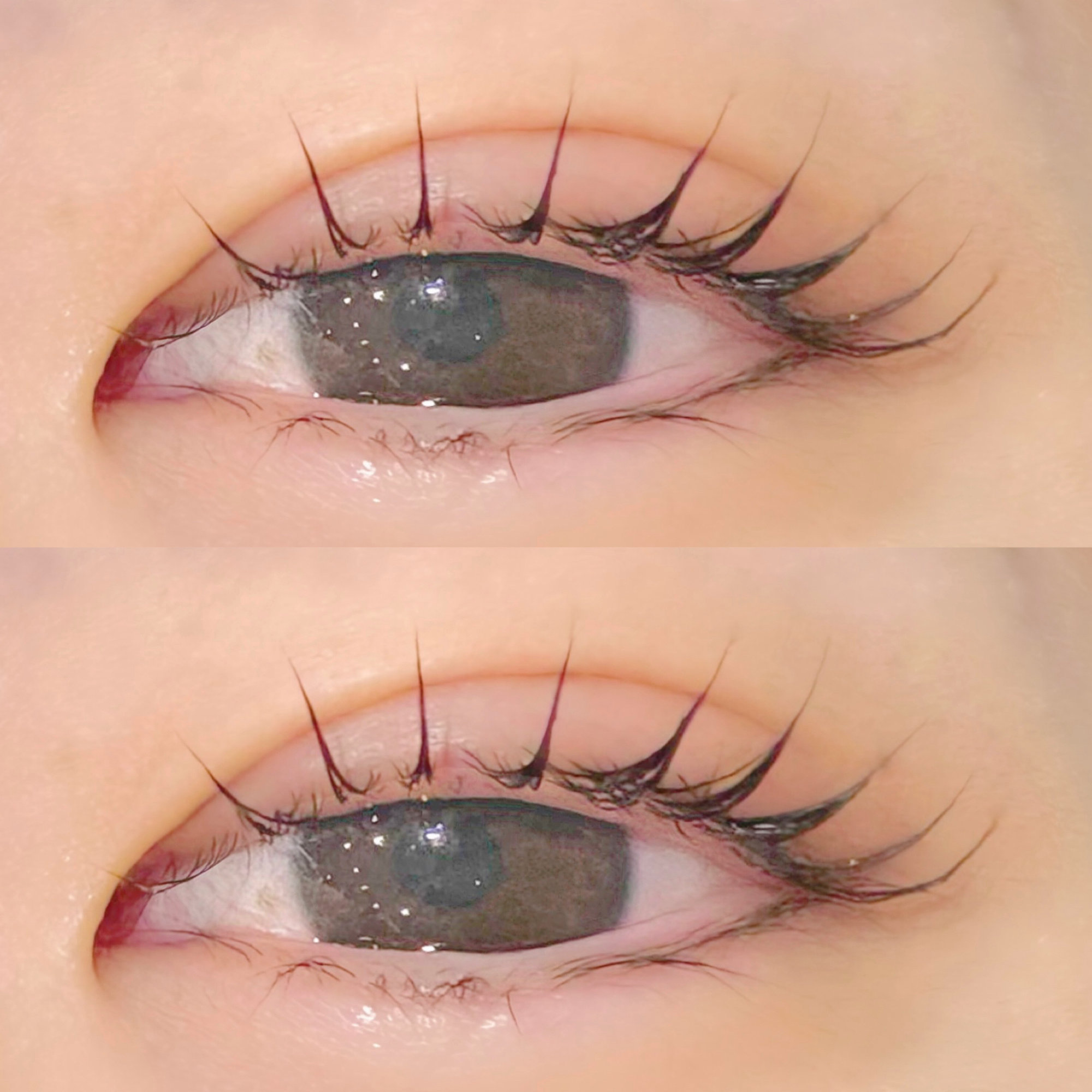 hikari_trueye