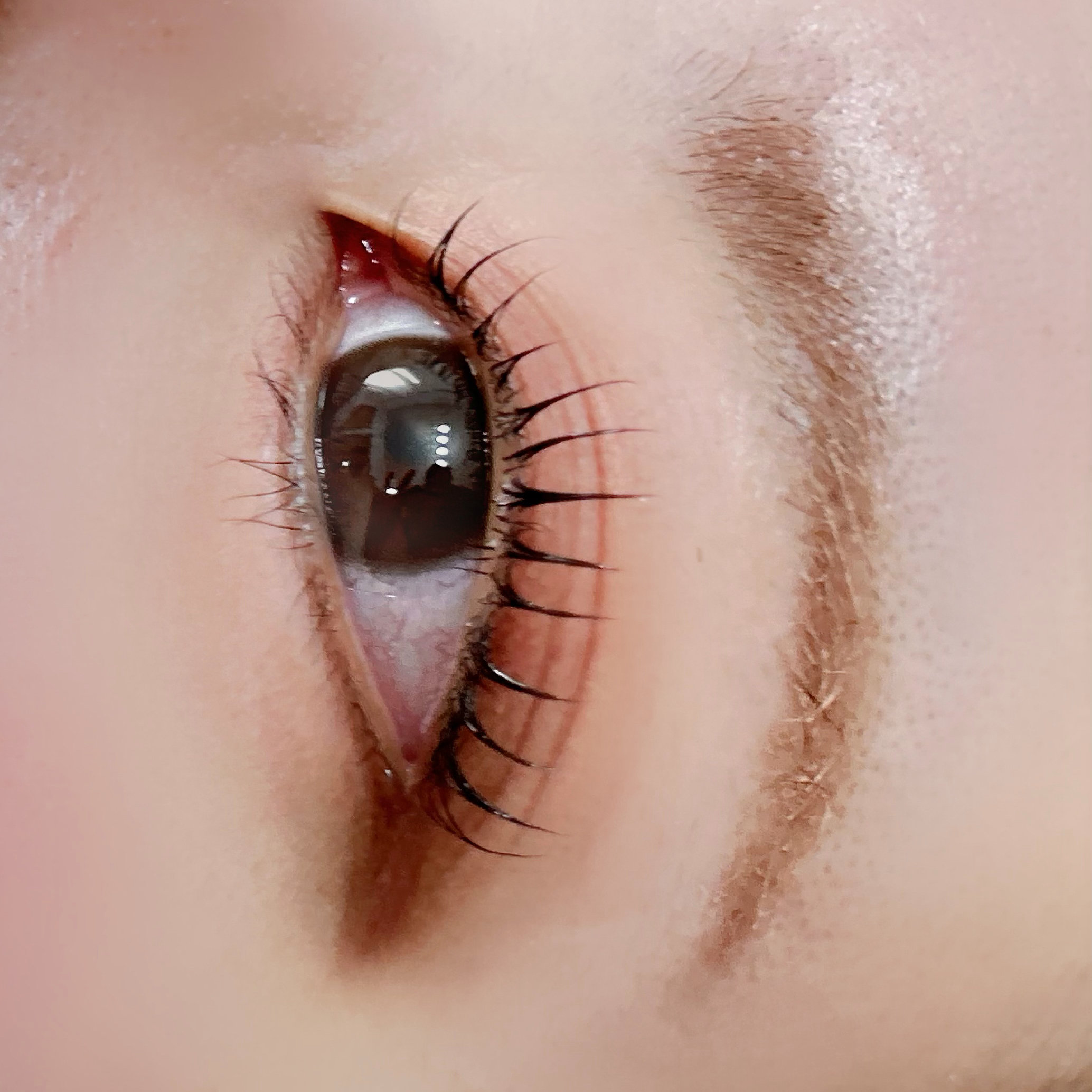 miho.eye