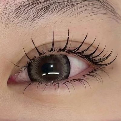 フラットラッシュ100本[オフ込]