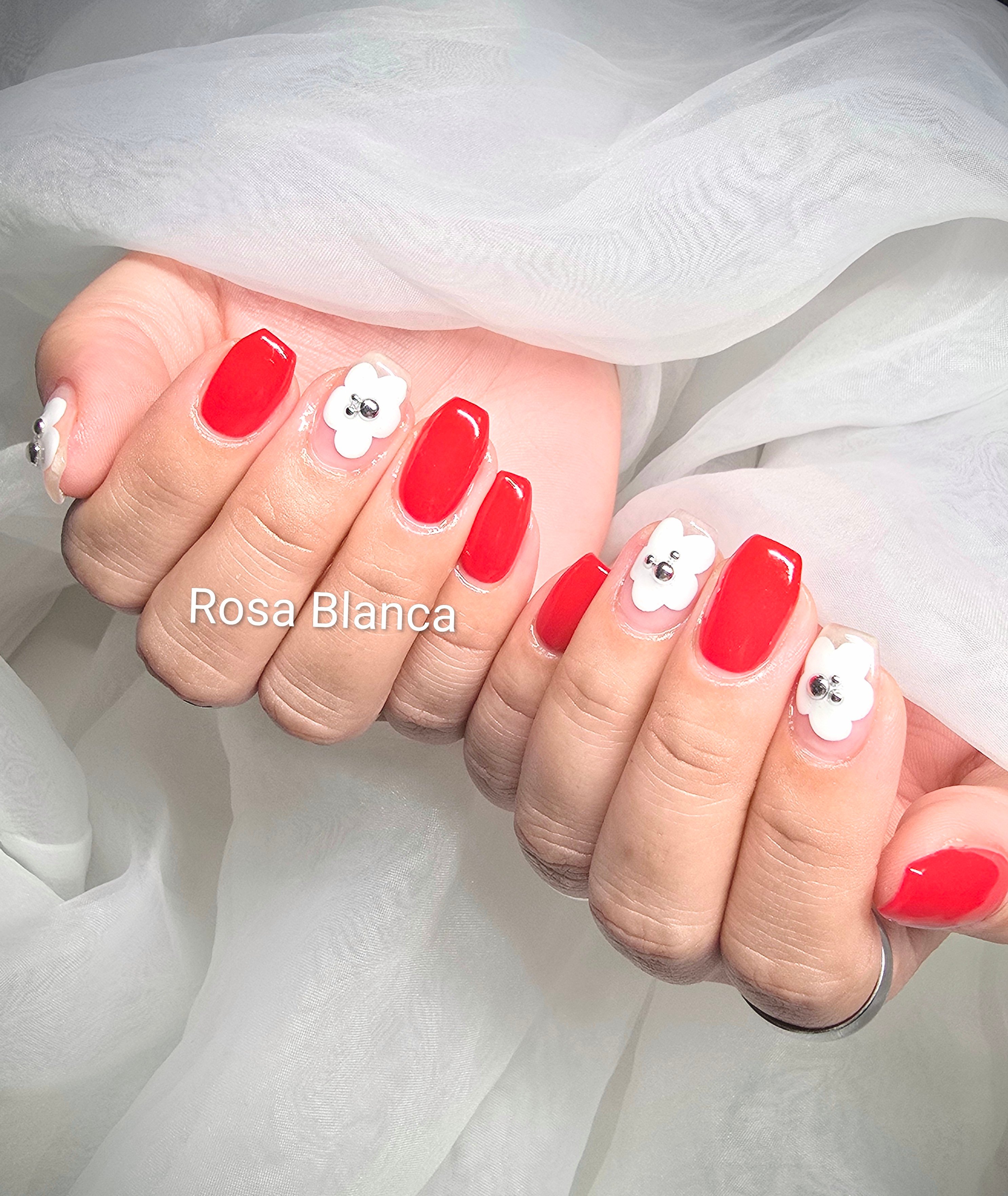 Rosa_Blanca