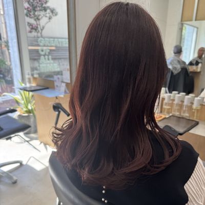 高濃度炭酸クレンジングSh+カラー+システムTr_9,350→