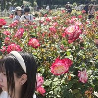 ayaka._.00