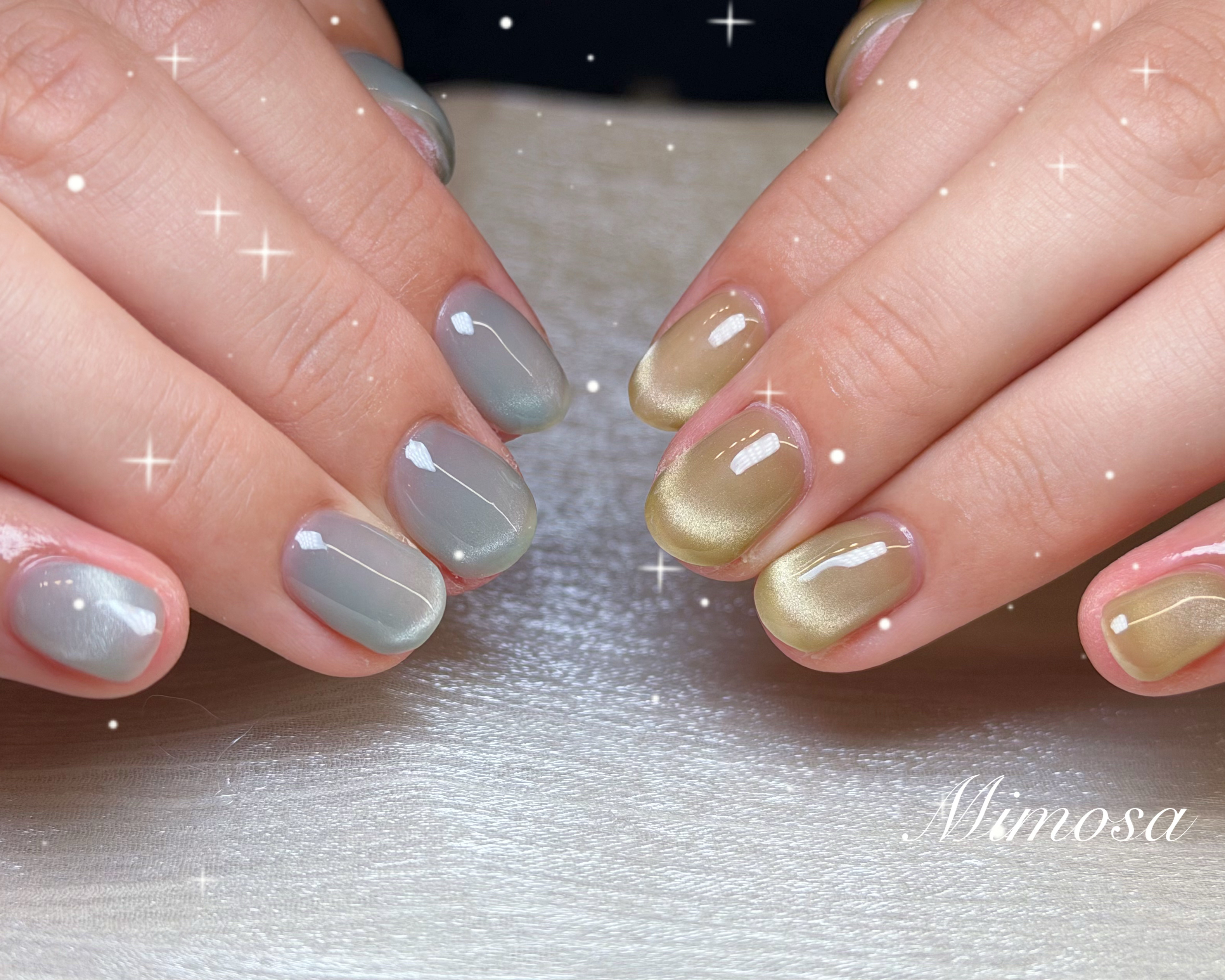 mimosa_kichijoji