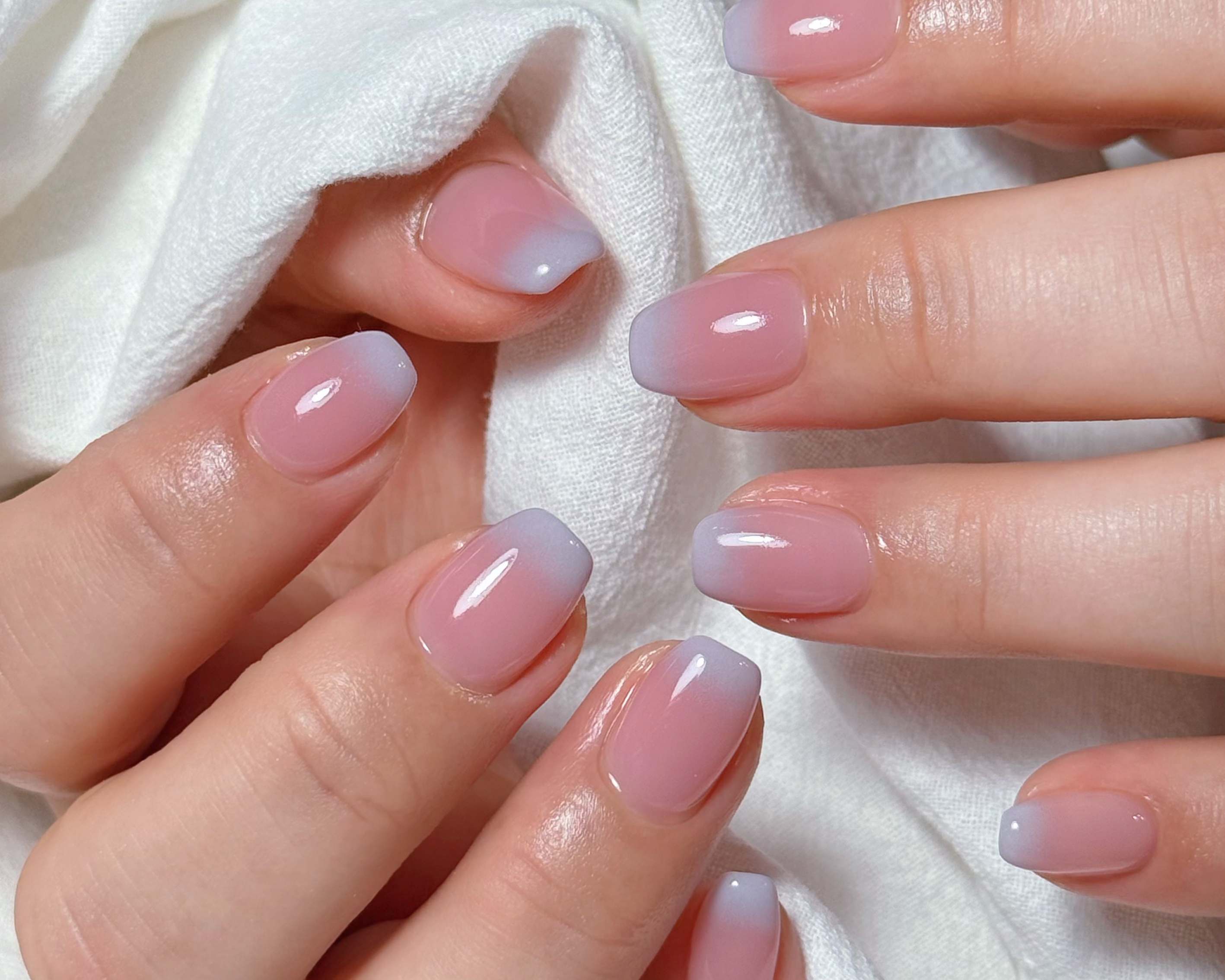 Lavender_Beauty