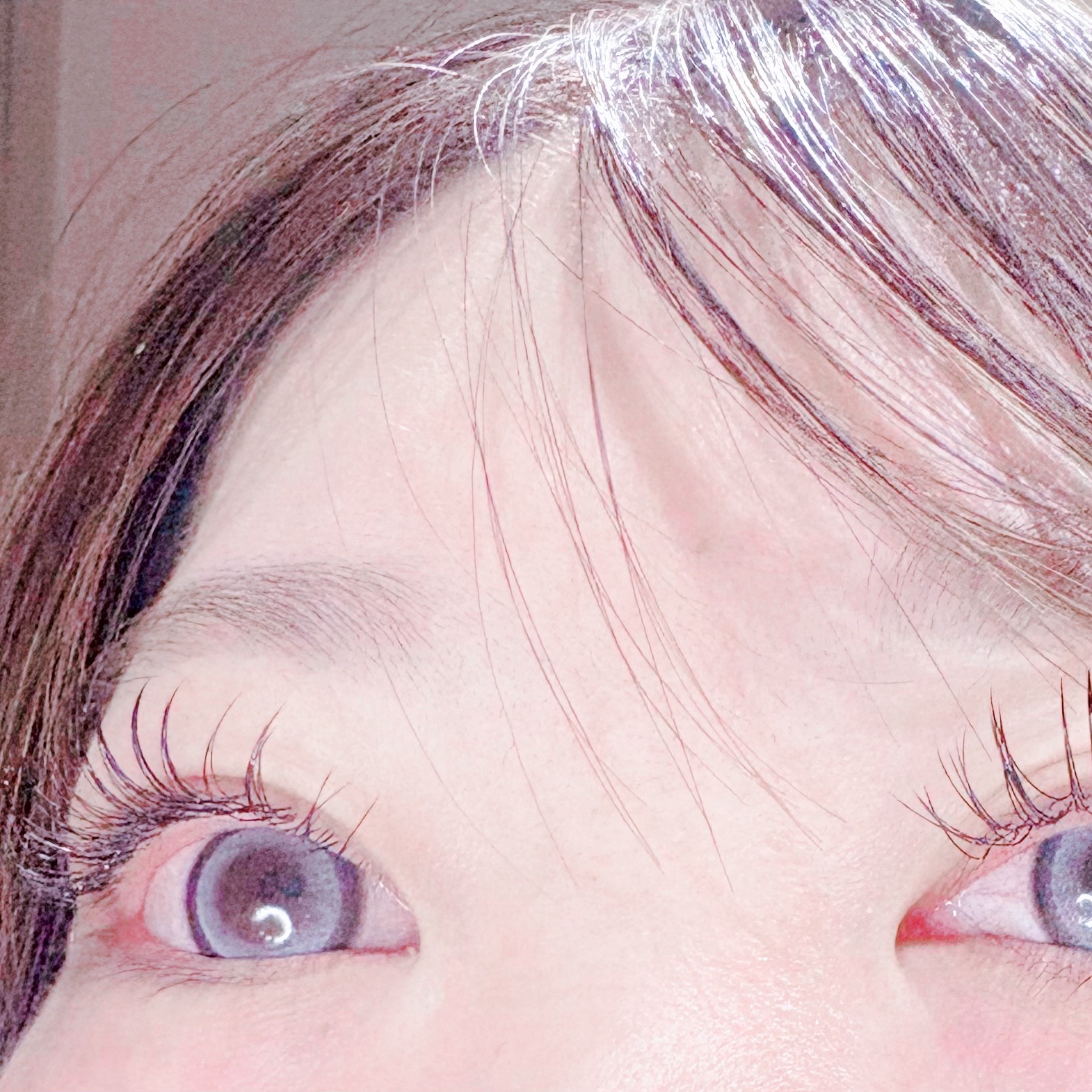 Flore_shinsaibashi