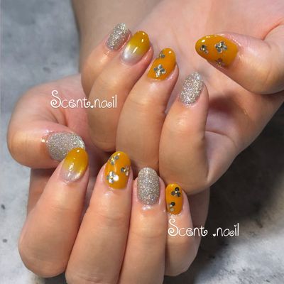 🌷定額B🌷