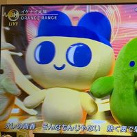 aoi_5431