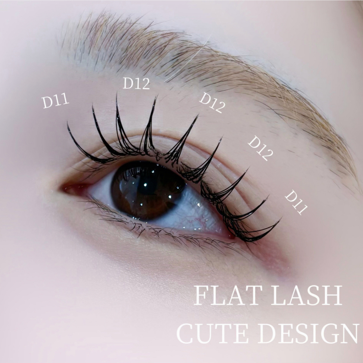 Shizuku_trueye