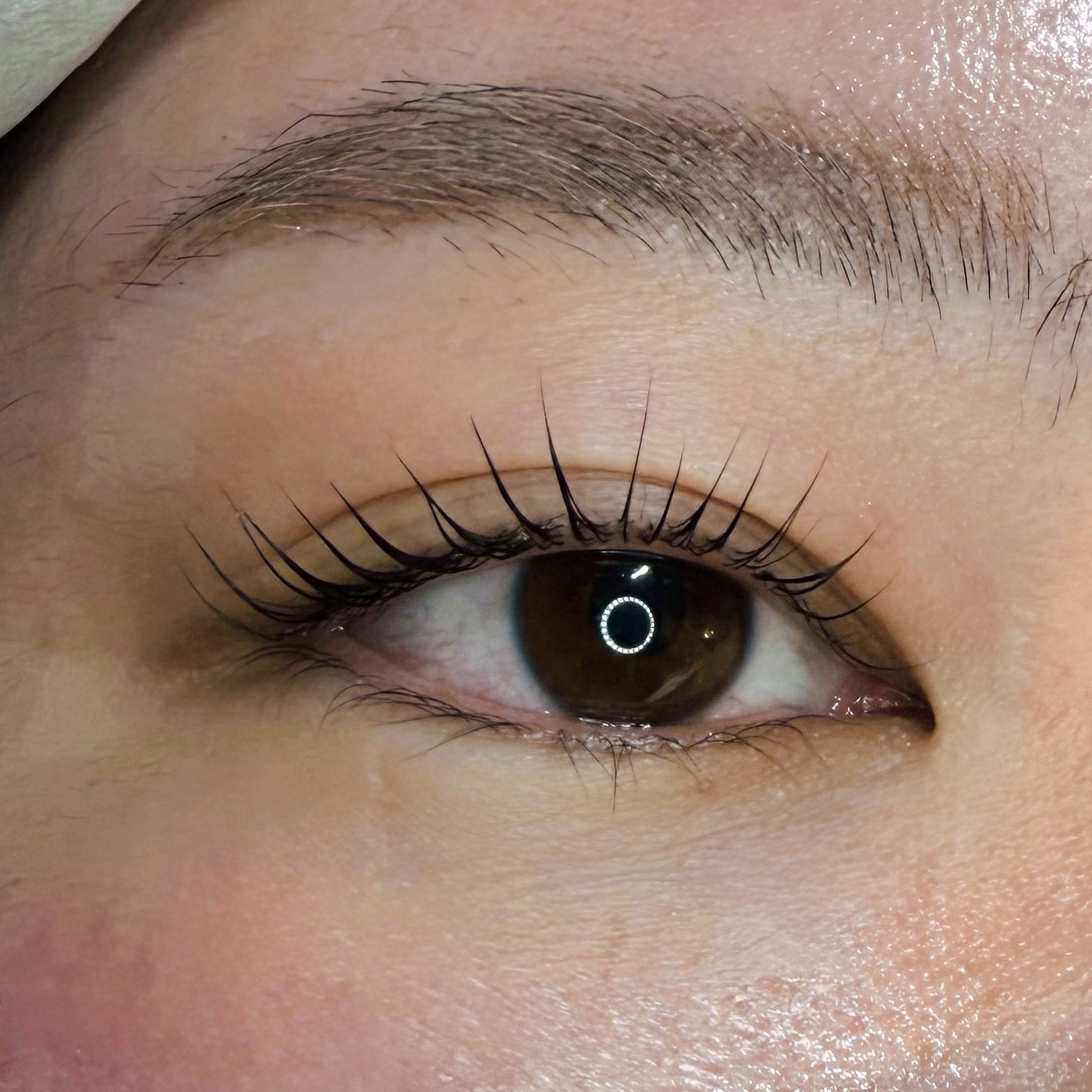 eyelash_kao