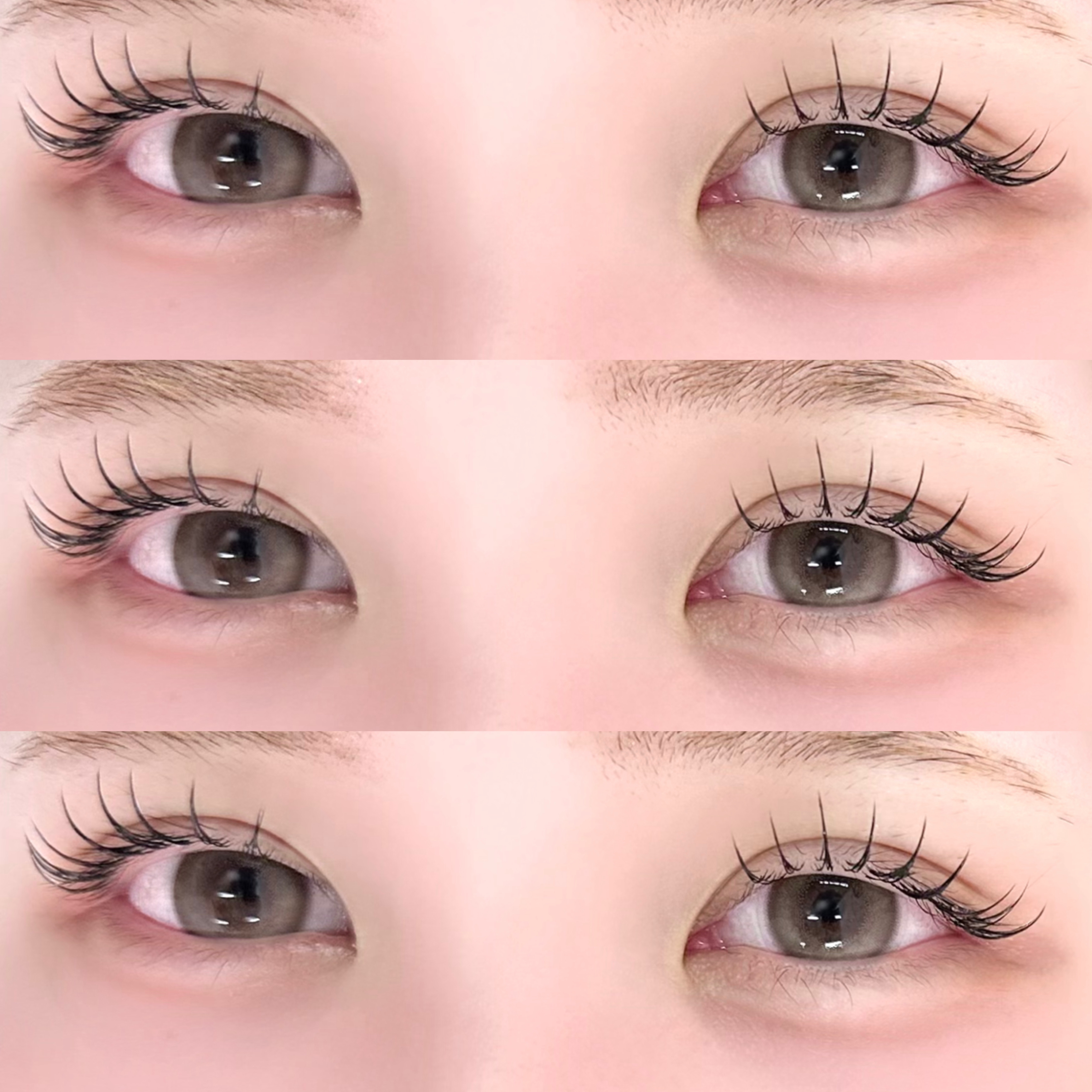 haruu7_daisy