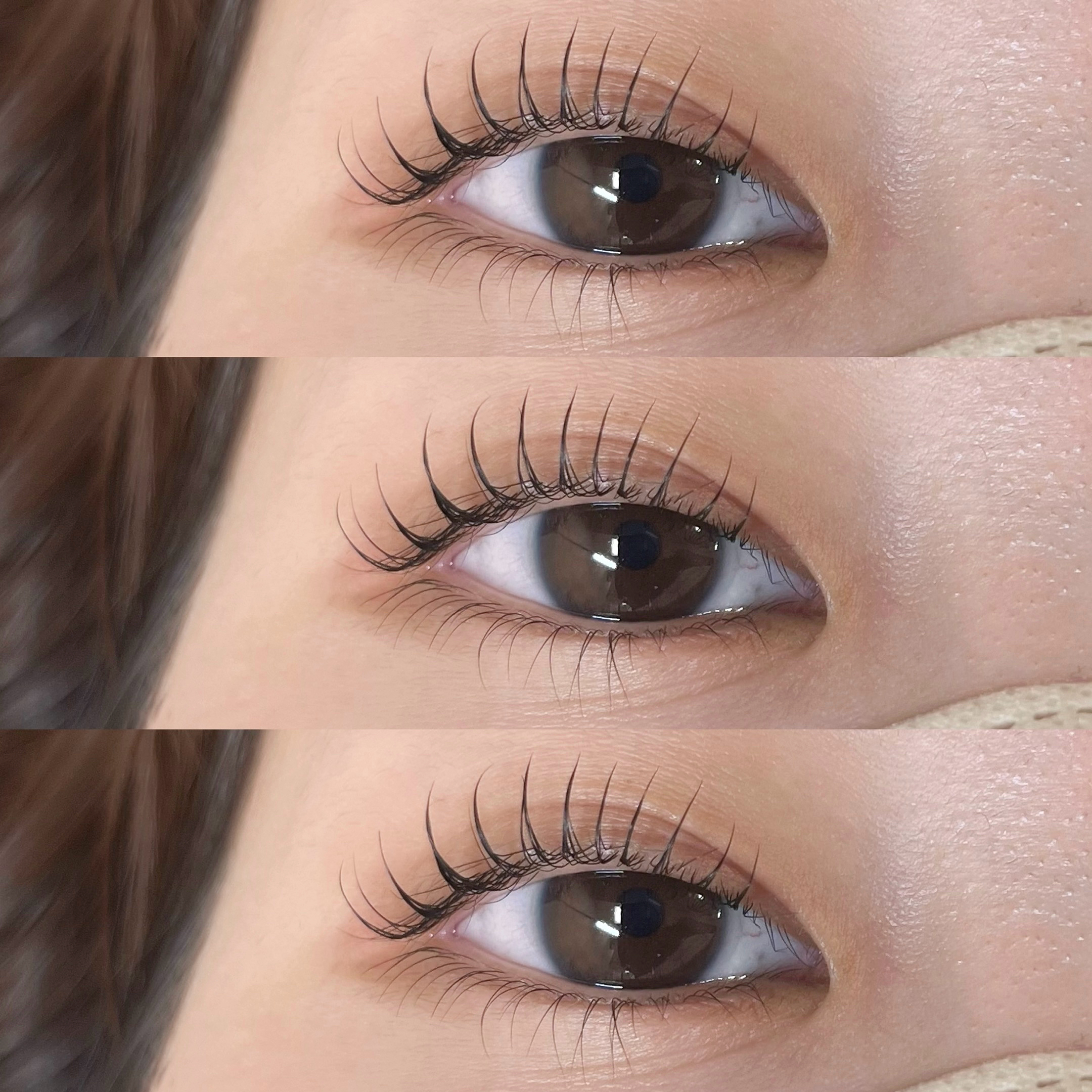 himawari_trueye