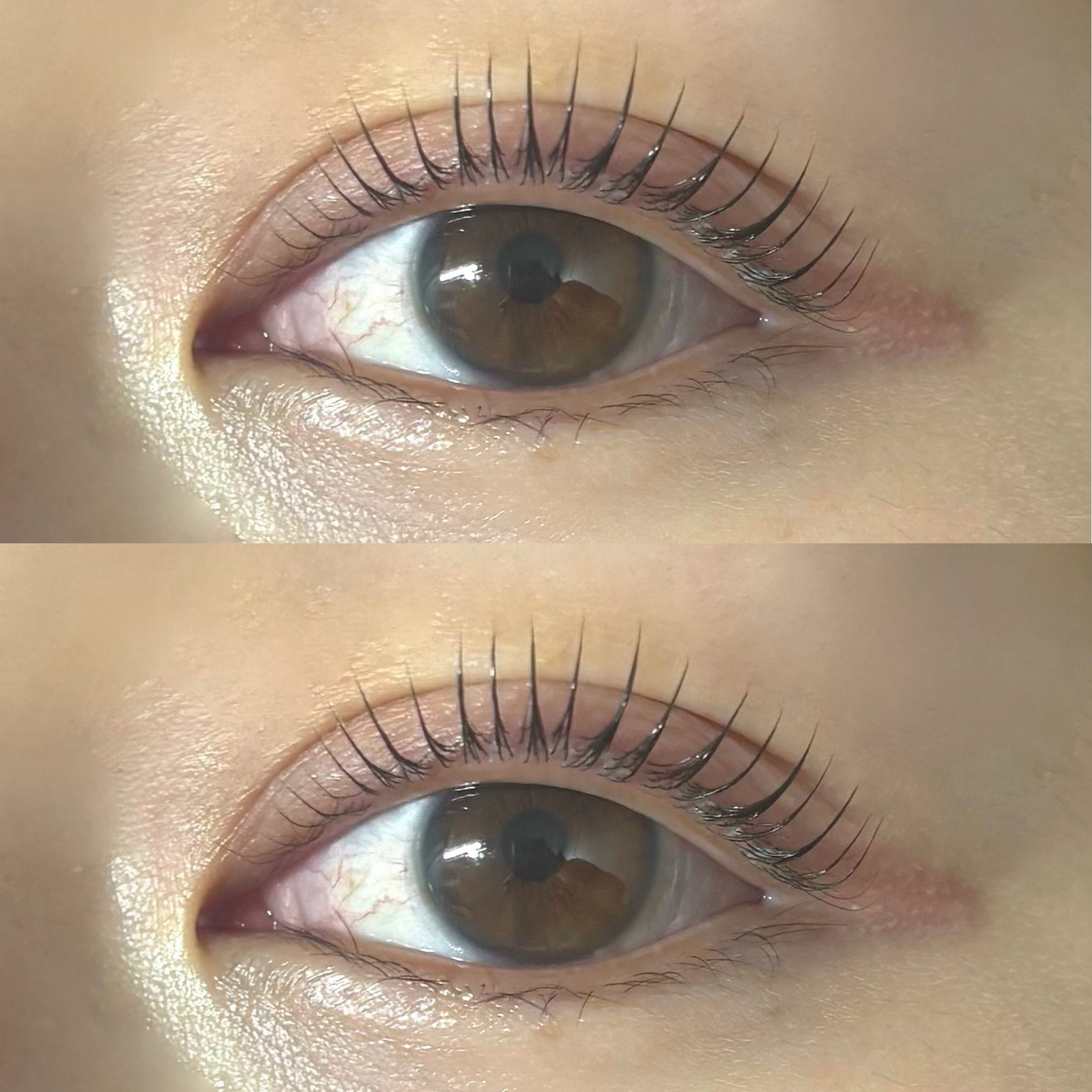 toiro.eye