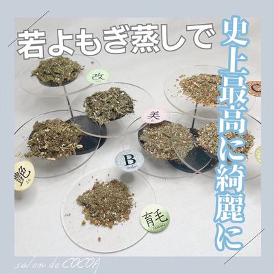 若よもぎ蒸し