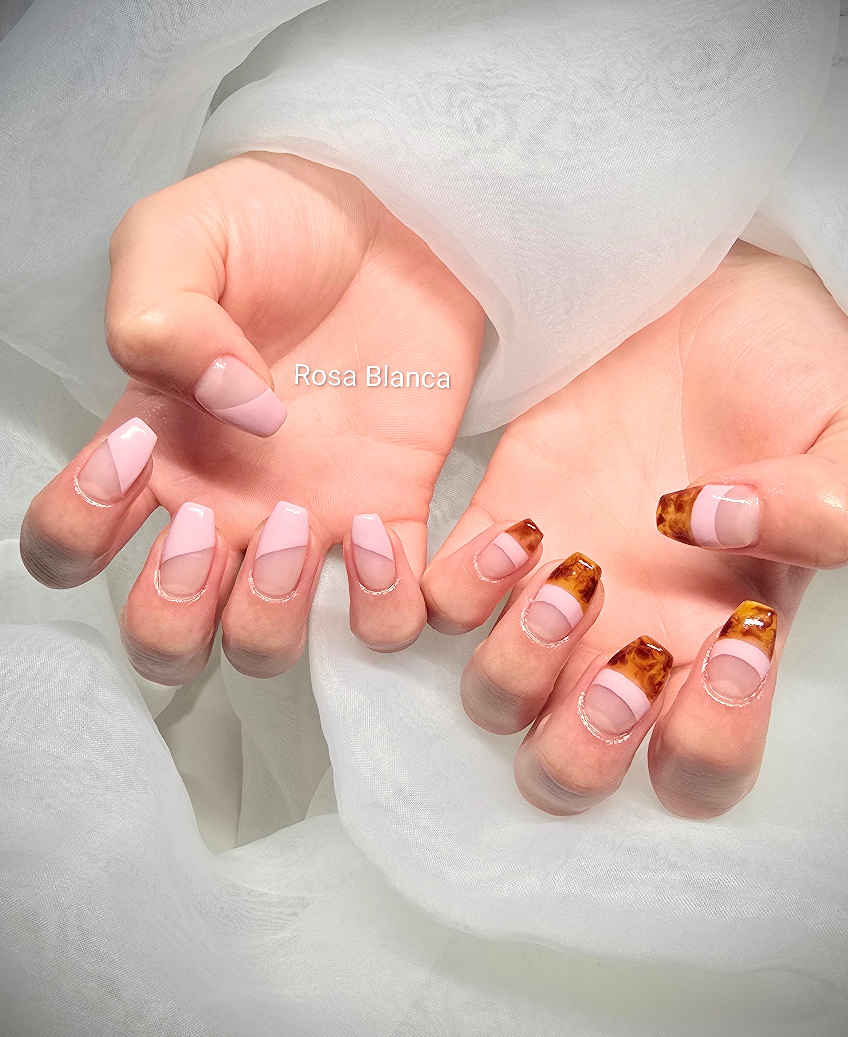 Rosa_Blanca