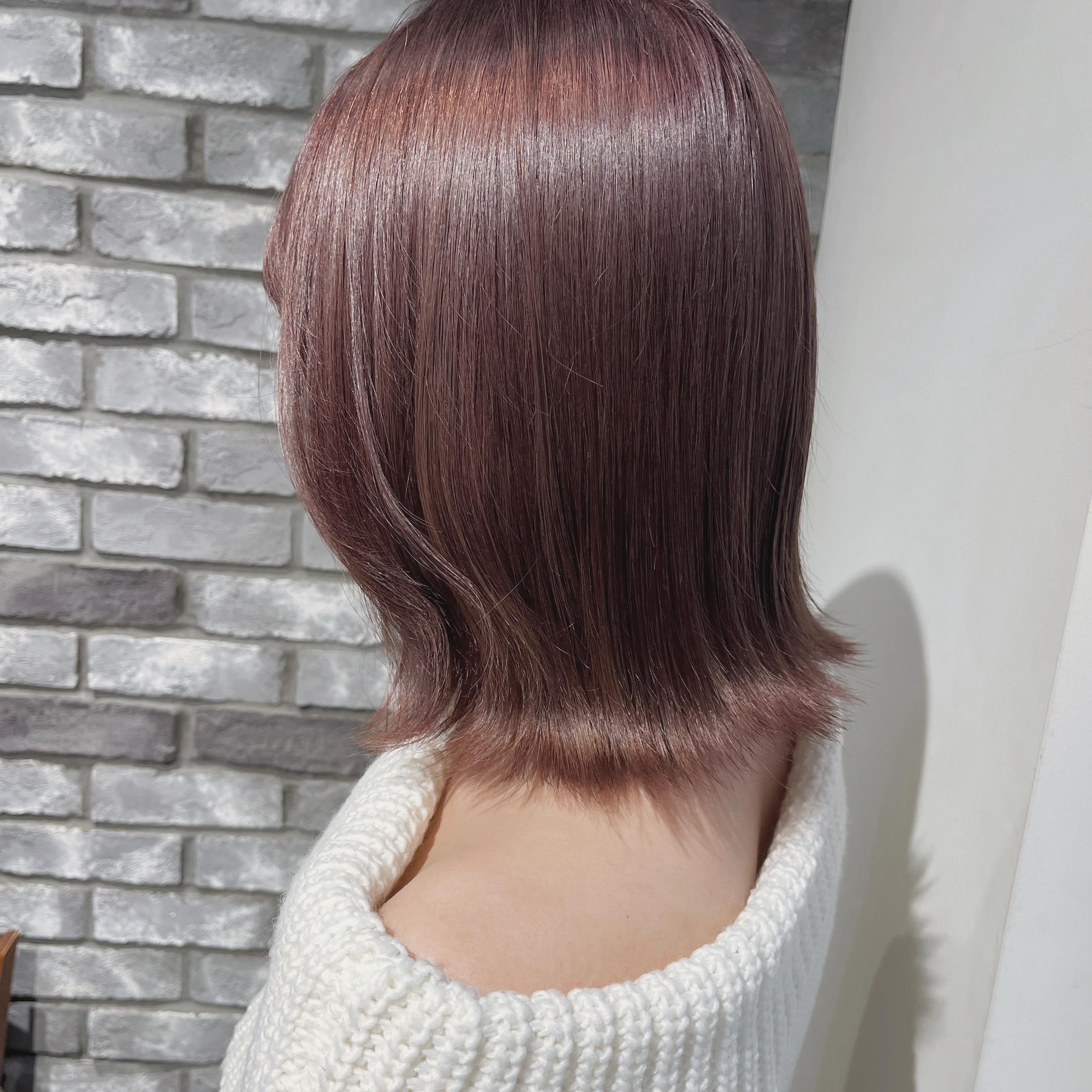 neoluca_seki