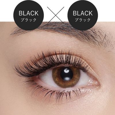 Wフラットorバインドロック120束