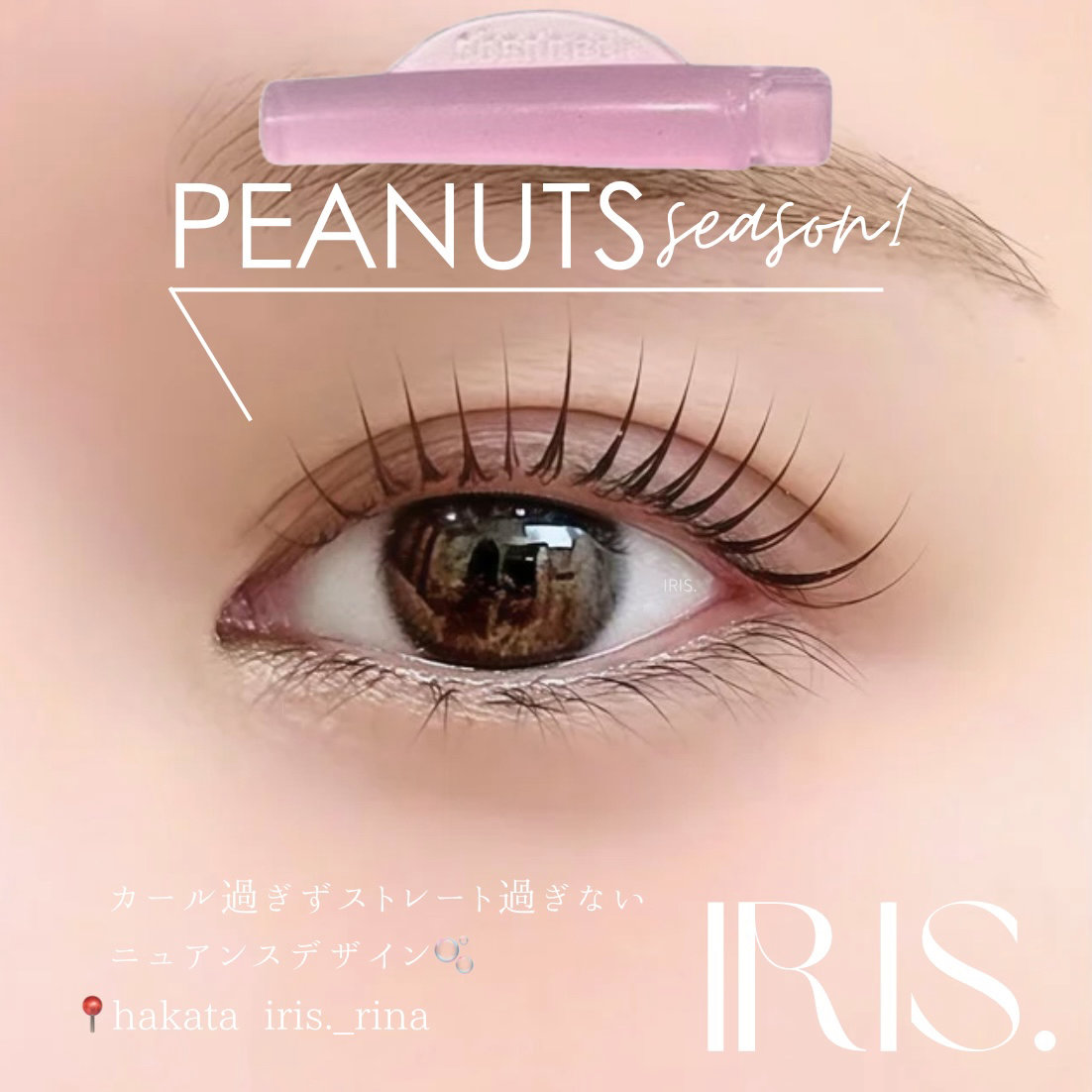 IRIS._rina