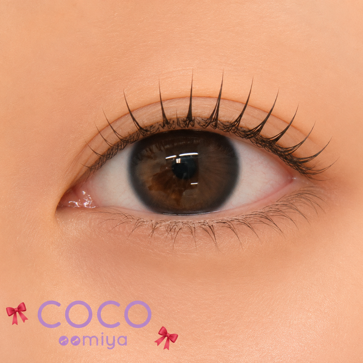 coco_shizuku