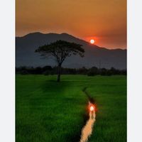 thamngan76581