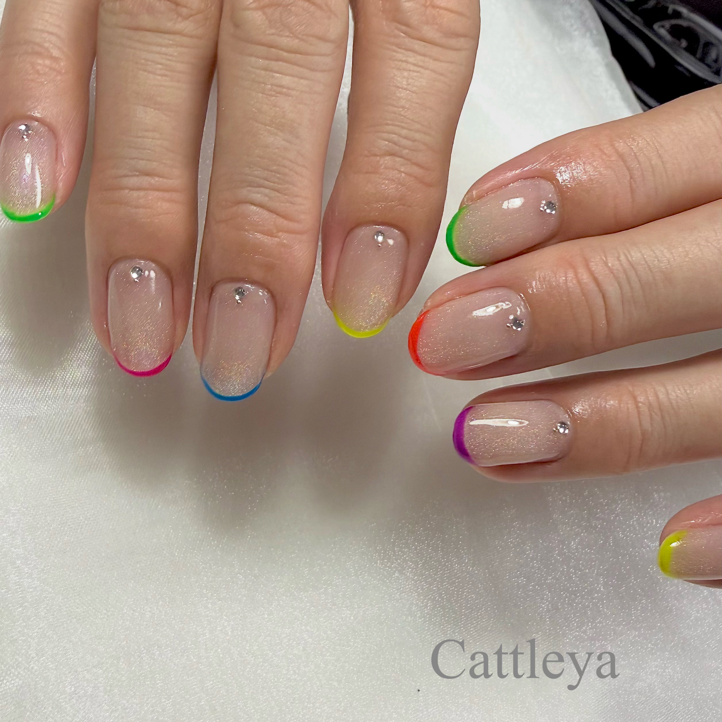 _Cattleya_