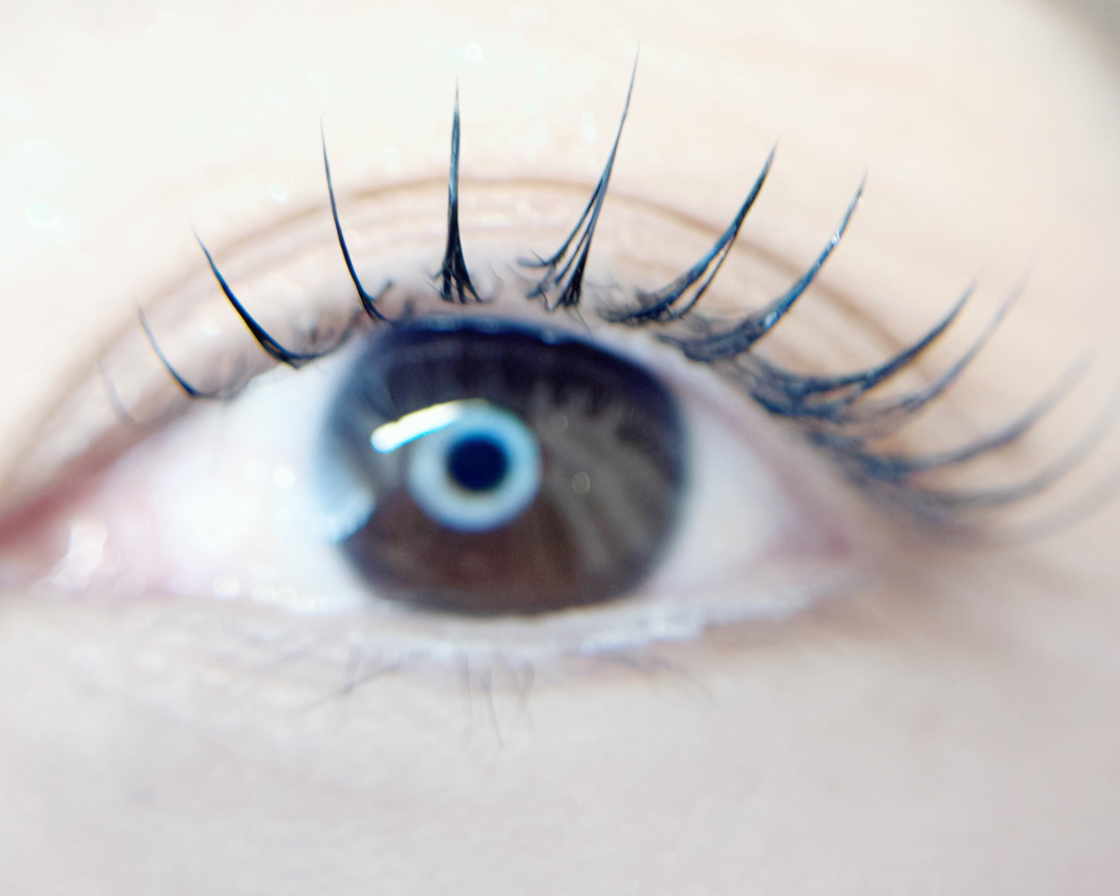 saaari___eyelash