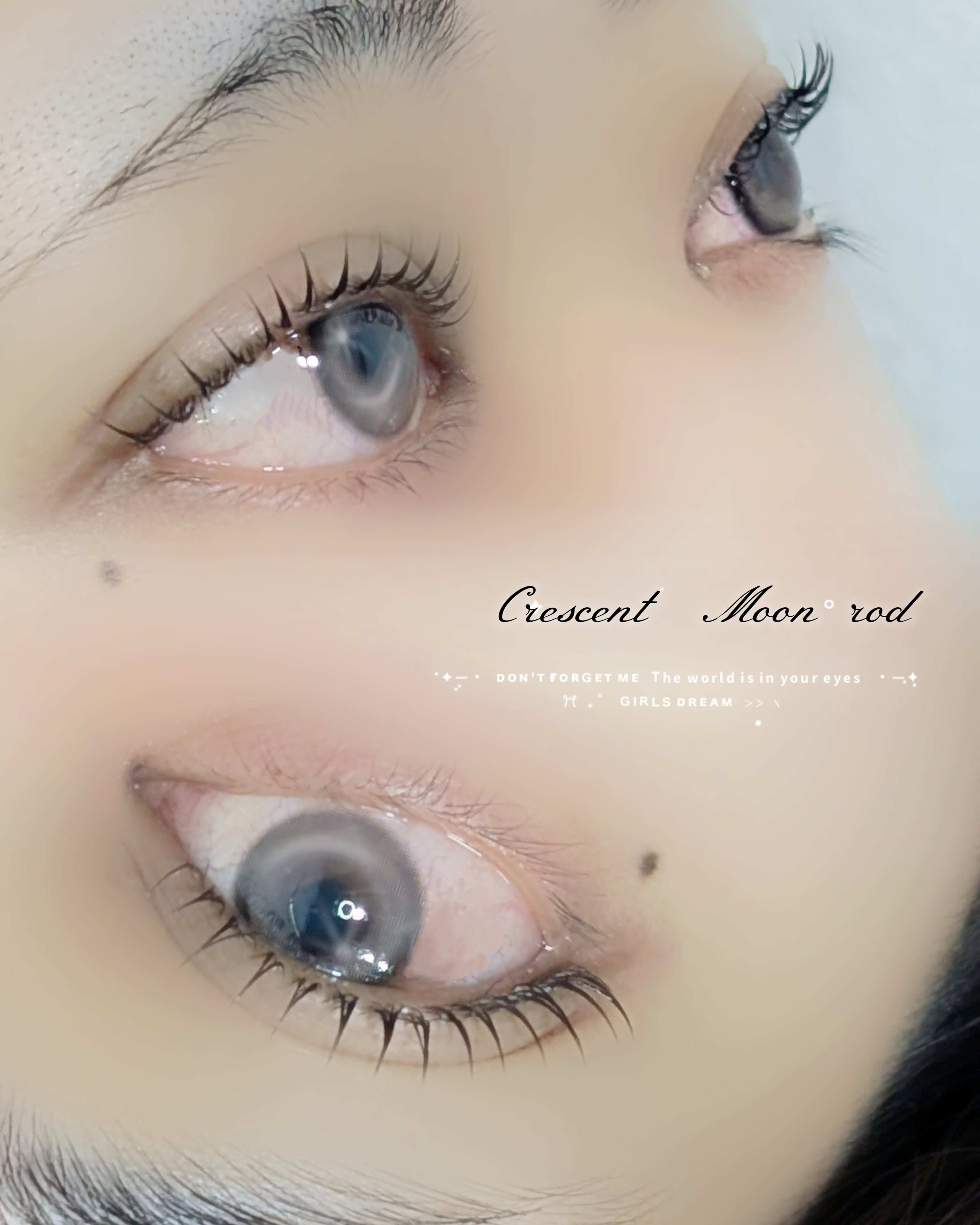 bloom.chihiro