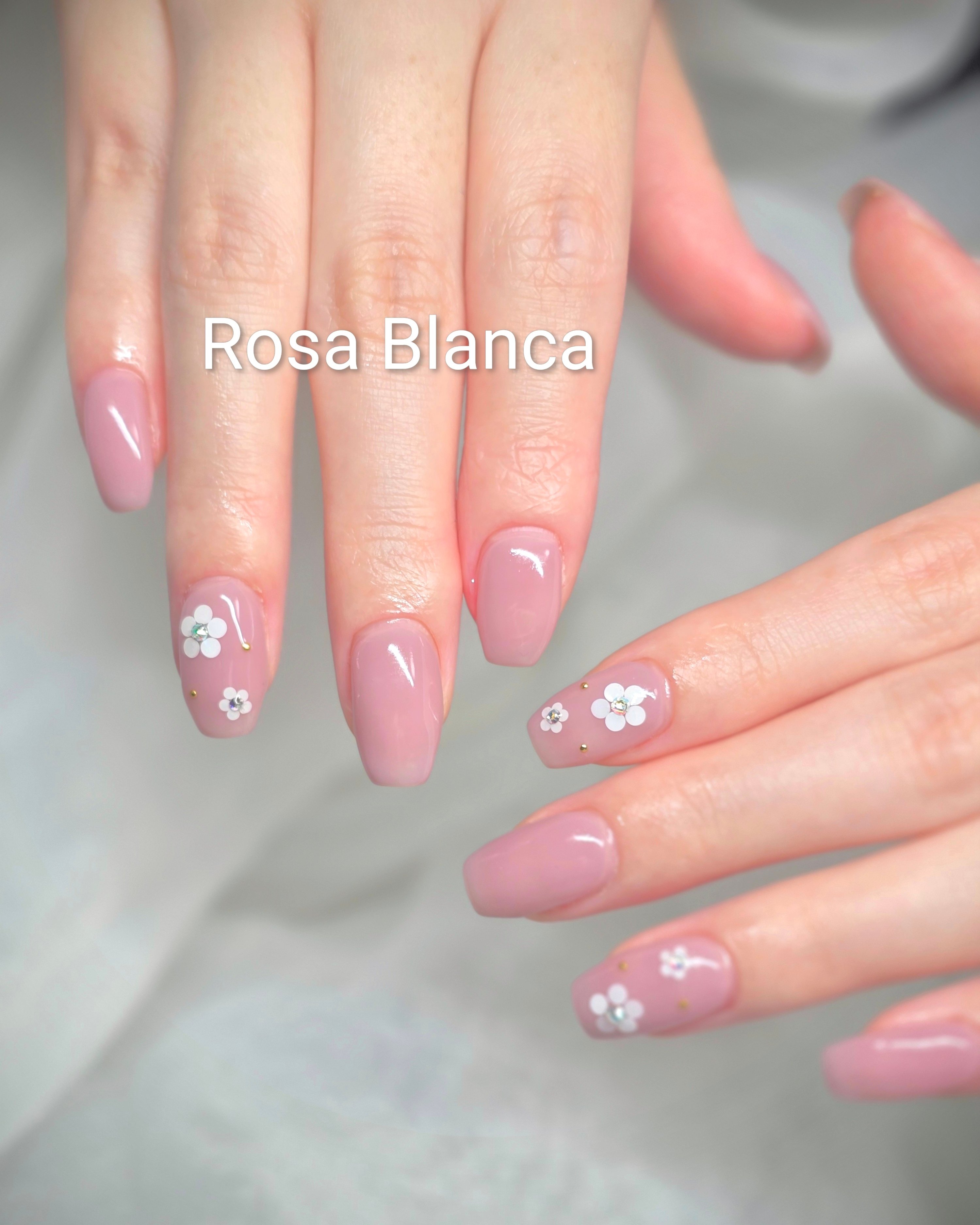 Rosa_Blanca