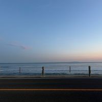 pan_2401