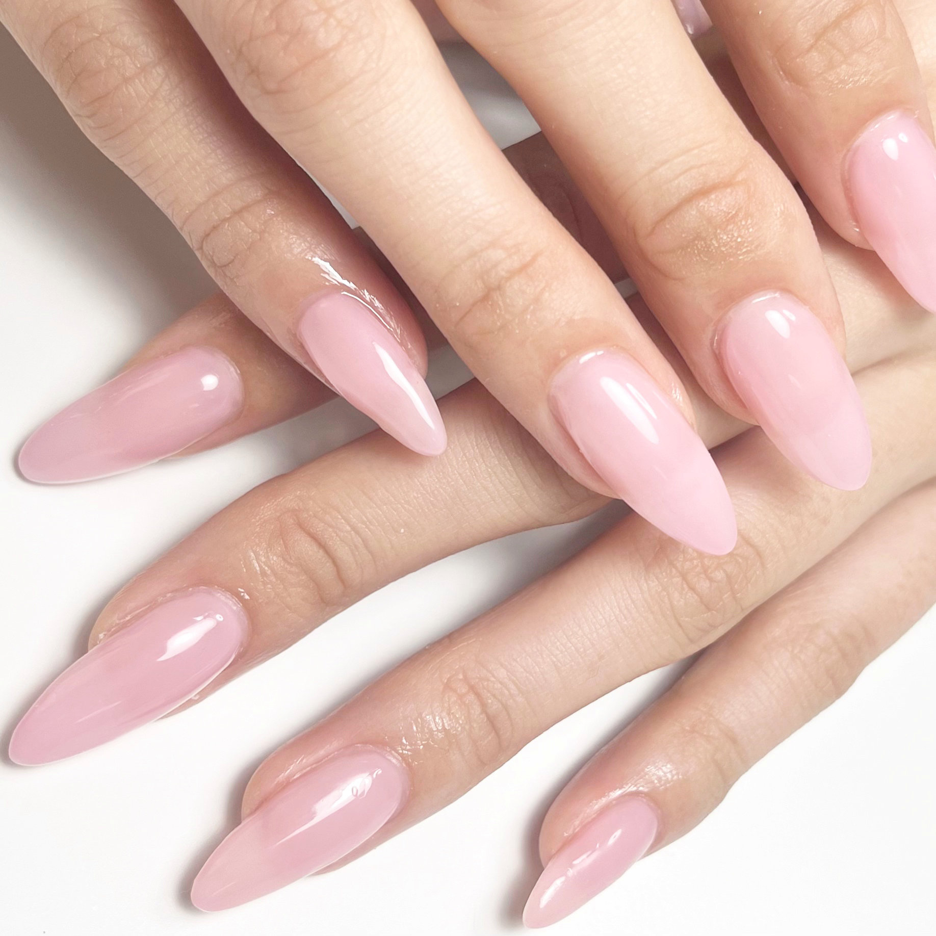 lou.cat