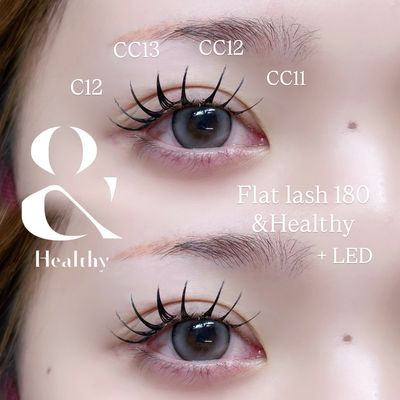 【&Healthy】ダブルフラット80set＋アンドヘルシー