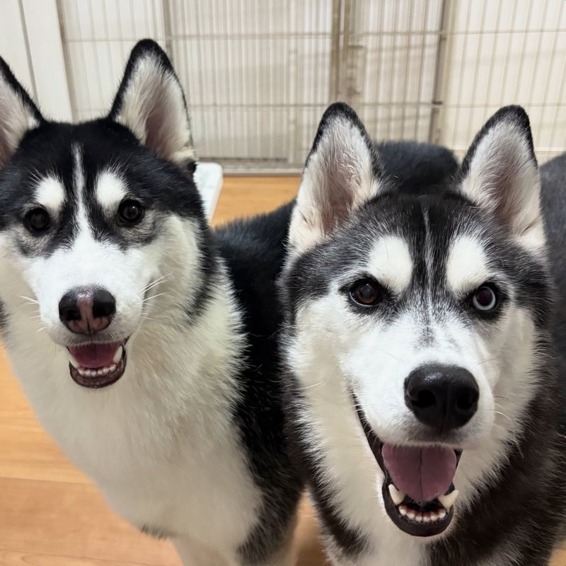 yuka.nail(ユカ ネイル)