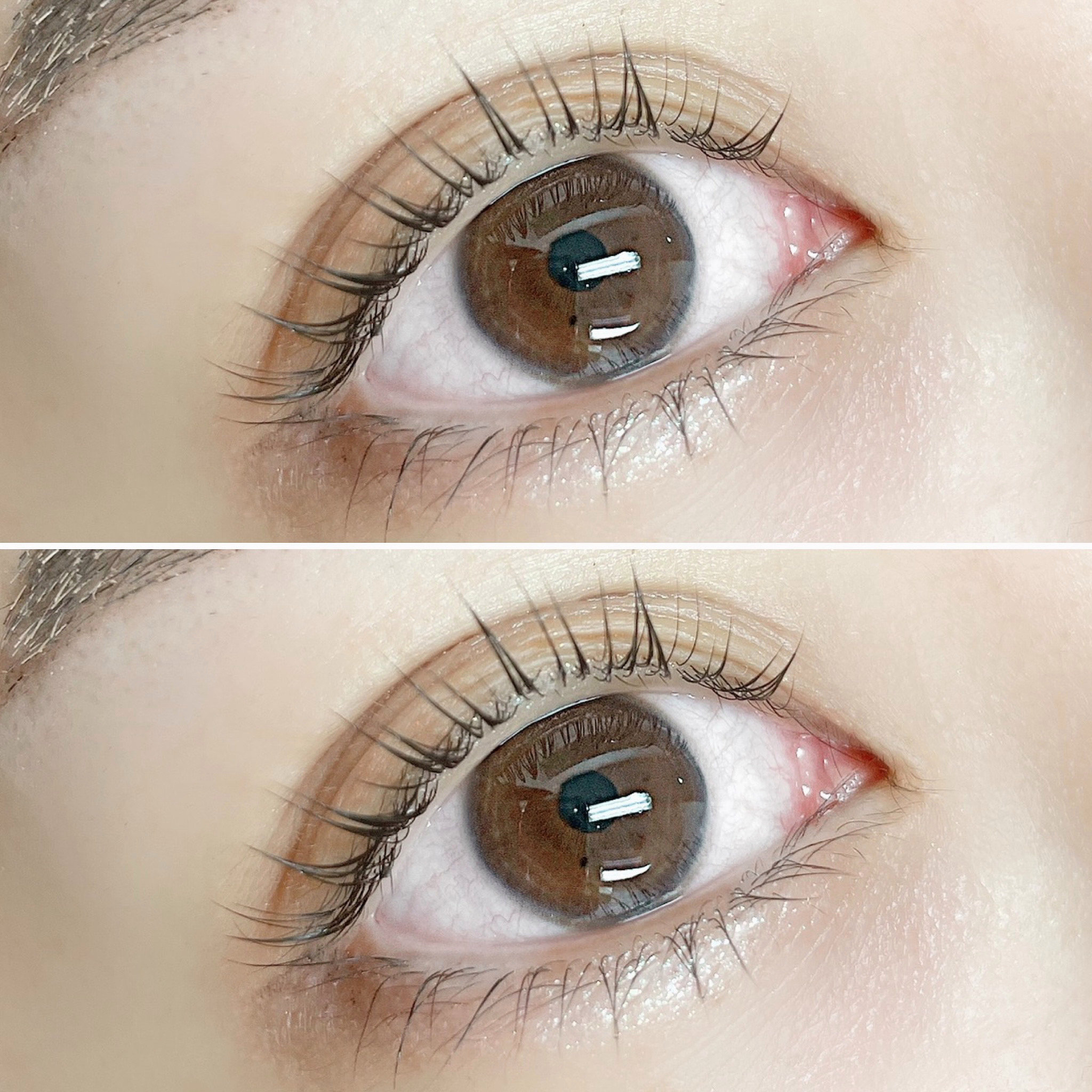 lily_eyebeauty