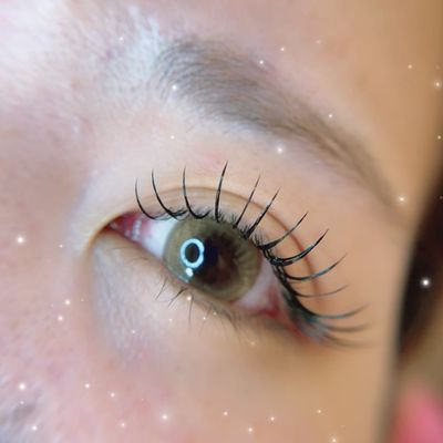 flatlash140本