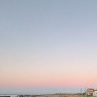 chiba.y_11811