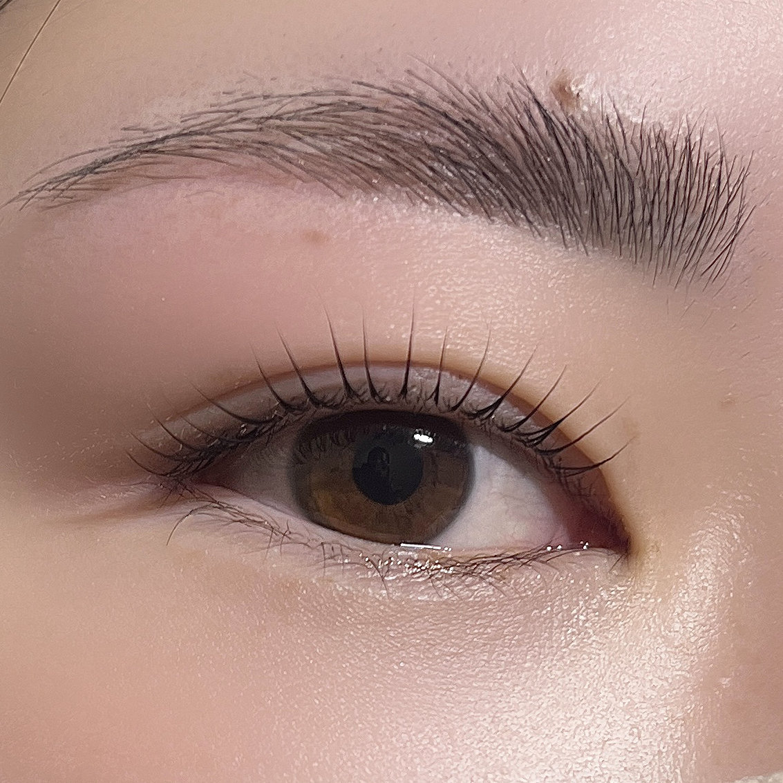 eye.brow.make_alos