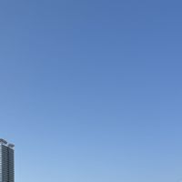 mu__mu