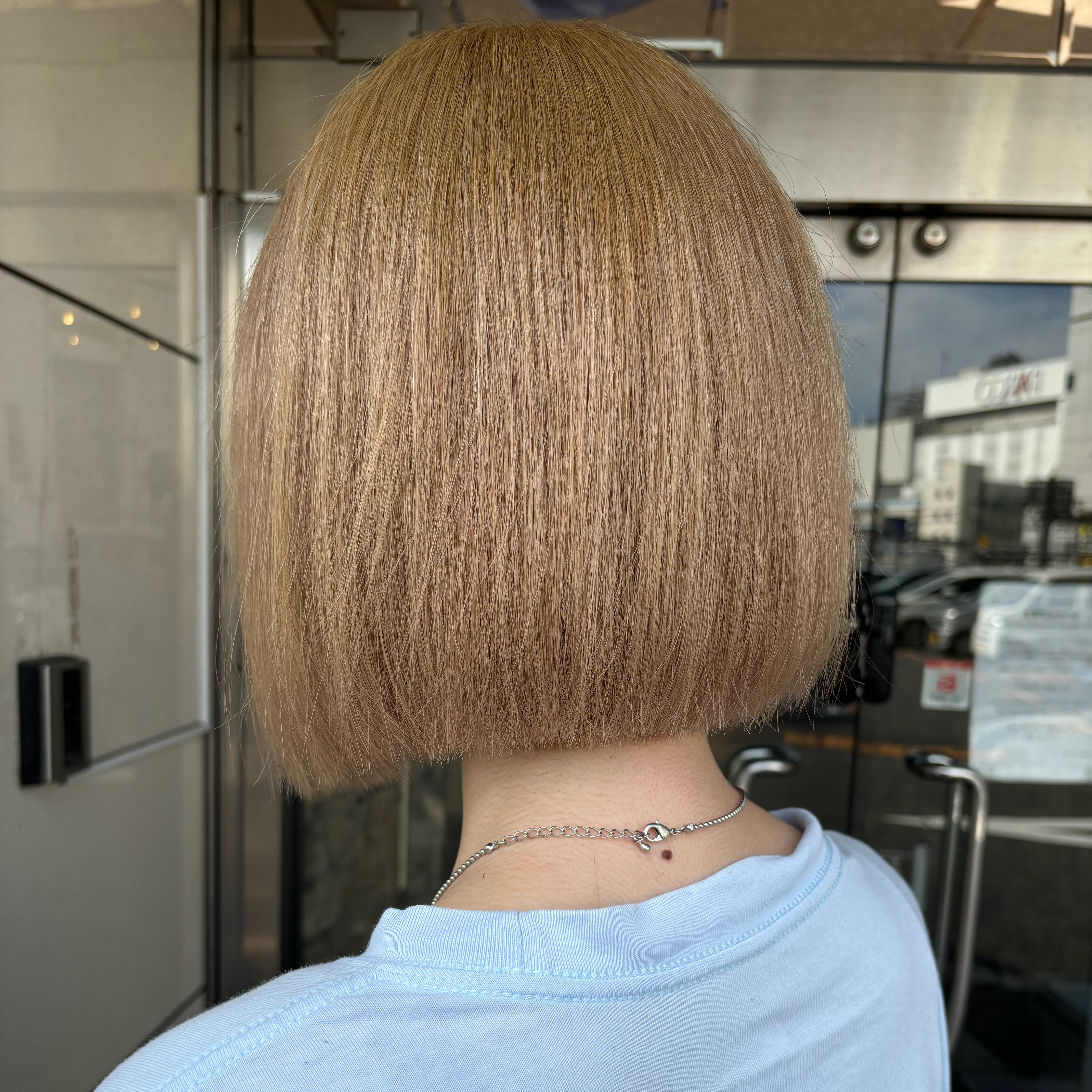 FERNA_yuki