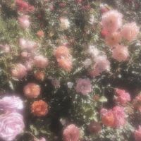 re_oo7