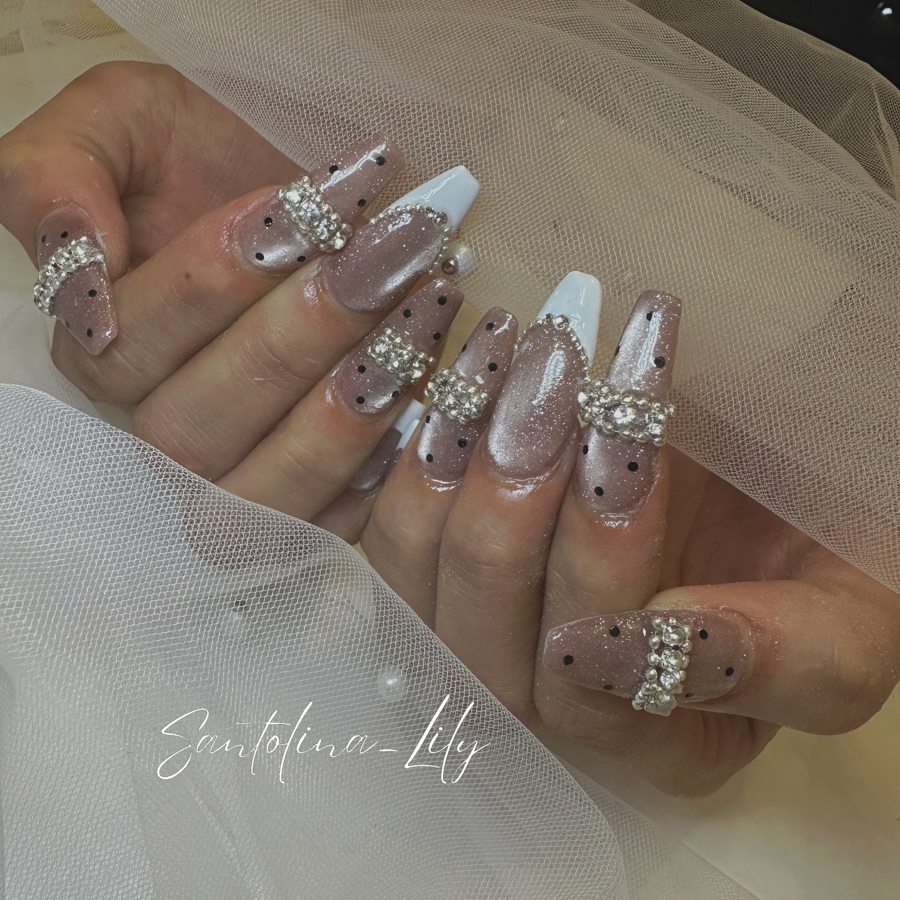 Santolina_Lily