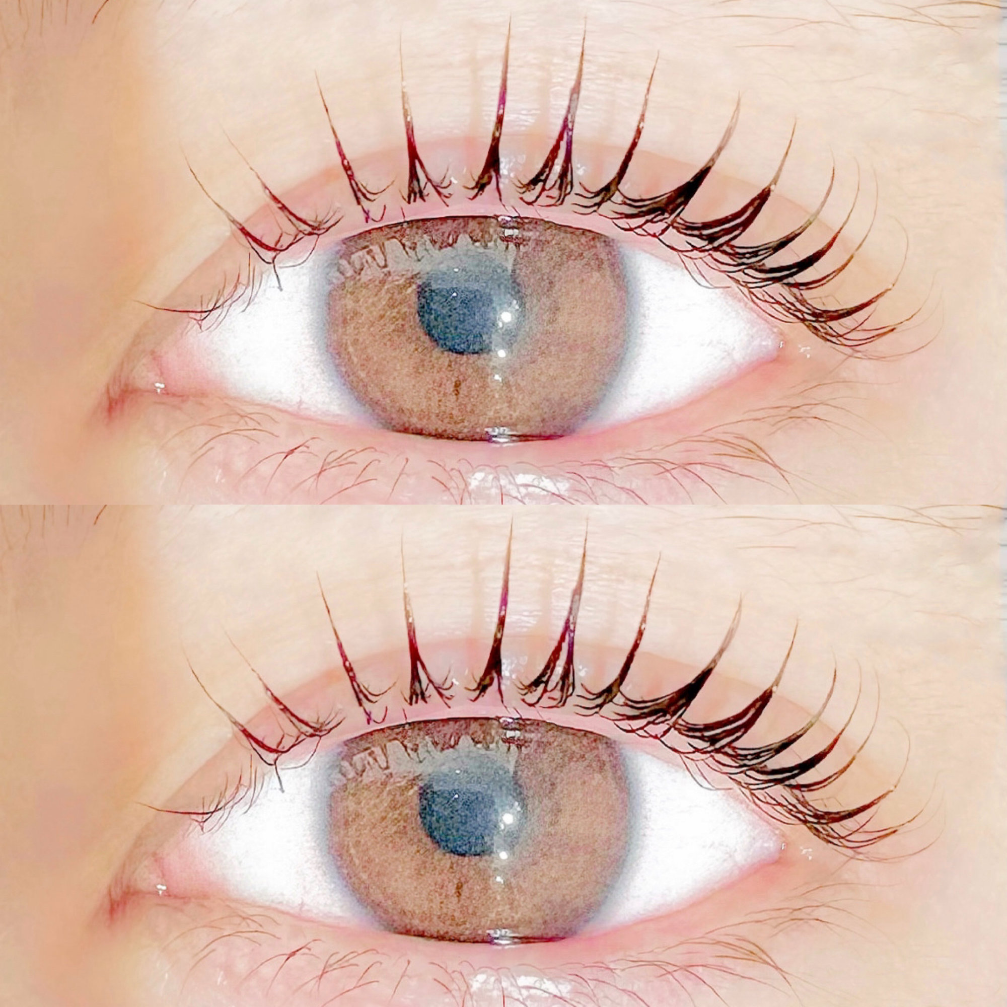 hikari_trueye