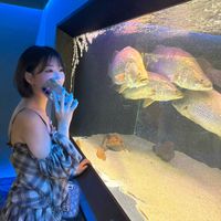 tomoka_trunail