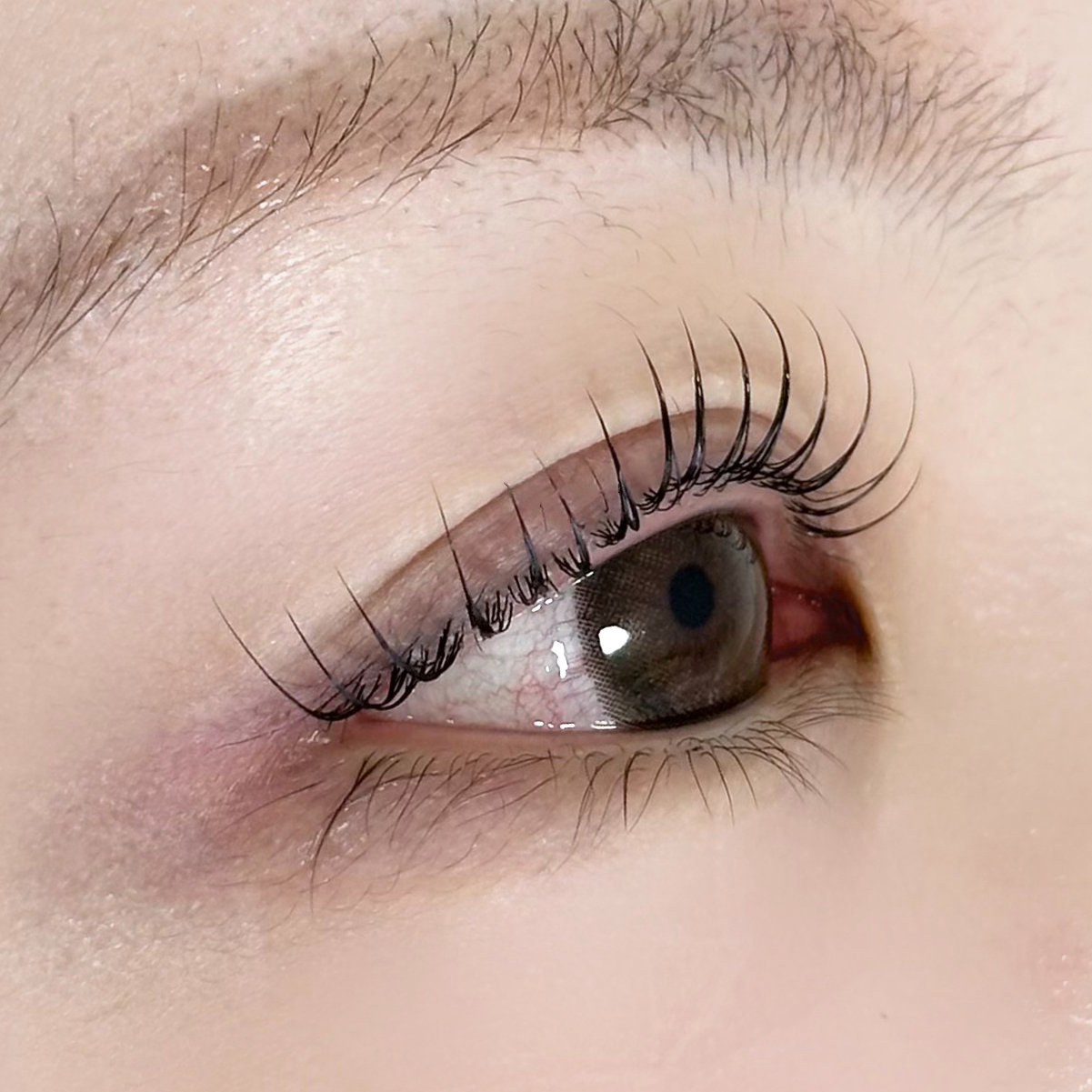 mako_eyedesigner
