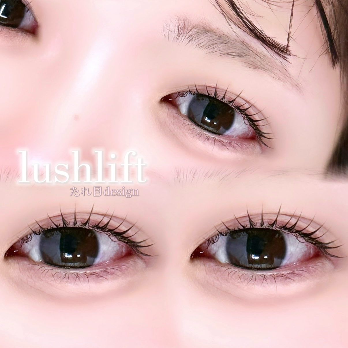 daisy_miina_