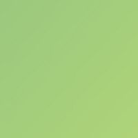 as._melflk1369
